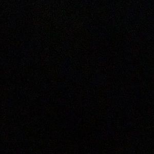 Meet your Posher, Princess